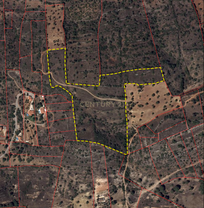 Terreno Agrícola em Gateiras - Localização Privilegiada - Image 1